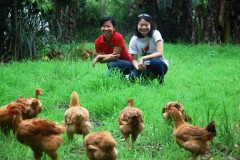 sherene with chickens2Web.JPG