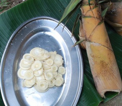 rebung masak lemak,bamboo shoots,slow food