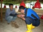 datuk azahar smelling the 7 year old sand litter.JPG