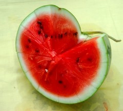 First Watermelon Web.JPG