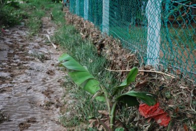 Farmer's bane, floods, river broke its bank, tire staircase, 