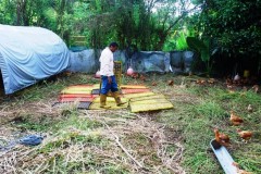 hoop house 1 Web.JPG