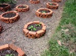 raised beds2 web size.JPG