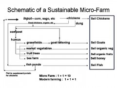 sustainablefarmmodel.jpg