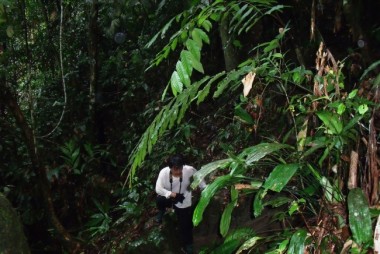 inside the forest web.jpg