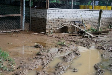 Farmer's bane, floods, river broke its bank, tire staircase, 