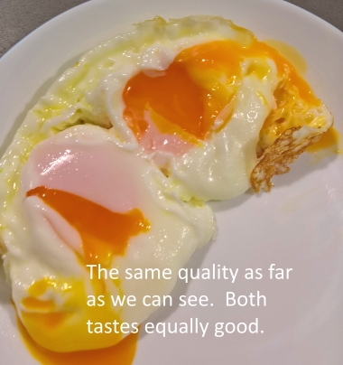 organic eggs, organic eggs in malaysia, 