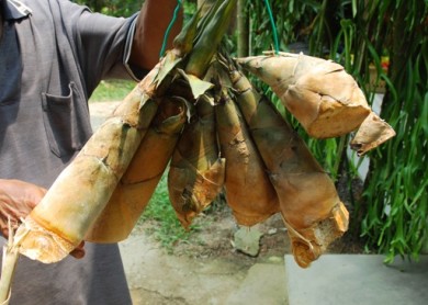 Rebung masak lemak, bamboo shoots, slow food,